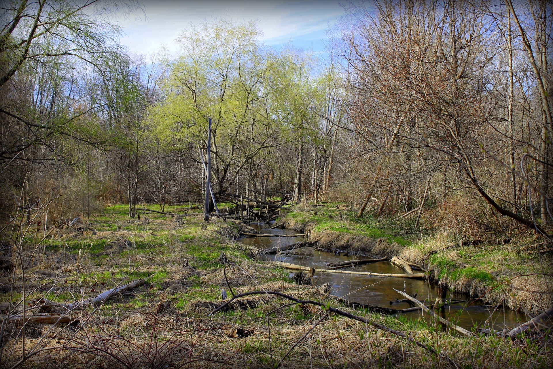 Novi, Michigan